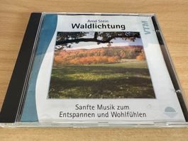 Arnd Stein – Waldlichtung