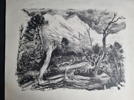 LEONARD MEISSER LITHOGRAPHIE SIGNIERT GR. 58X48CM