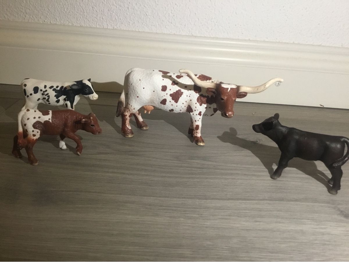 Schleich Statuette: Schleich Kuh Sammlung – 4 Figuren  – Usato da Remetschwil venduto da Boerga 1