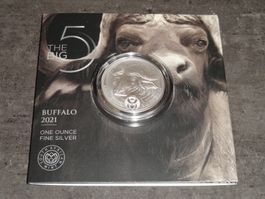 BIG FIVE 2021: 1  Oz Silber BÜFFEL Südafrika 2021