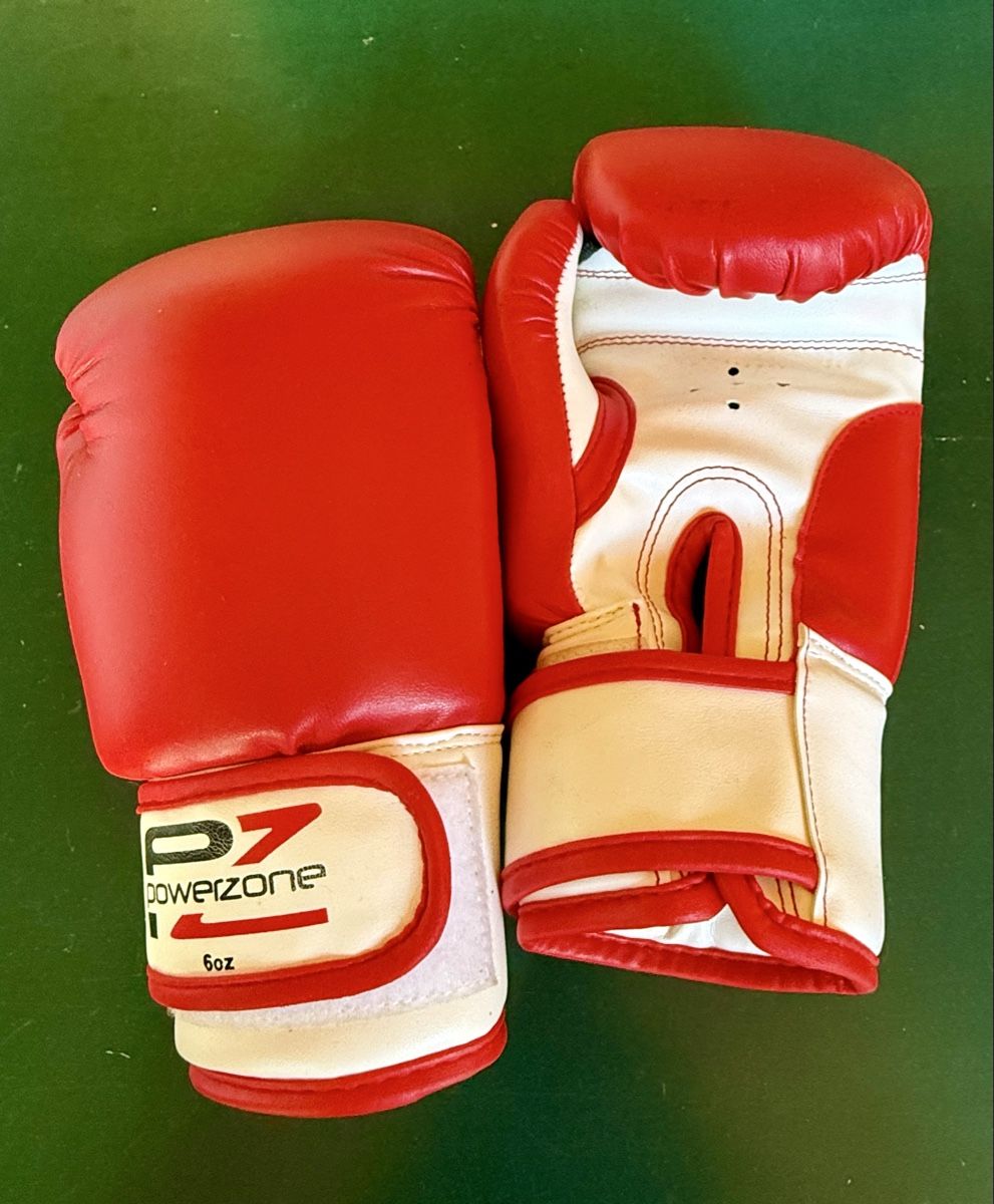 Sacchi da boxe: Boxsack Set mit Boxhandschuhen gebraucht – Usato da Courtepin venduto da Repp 1