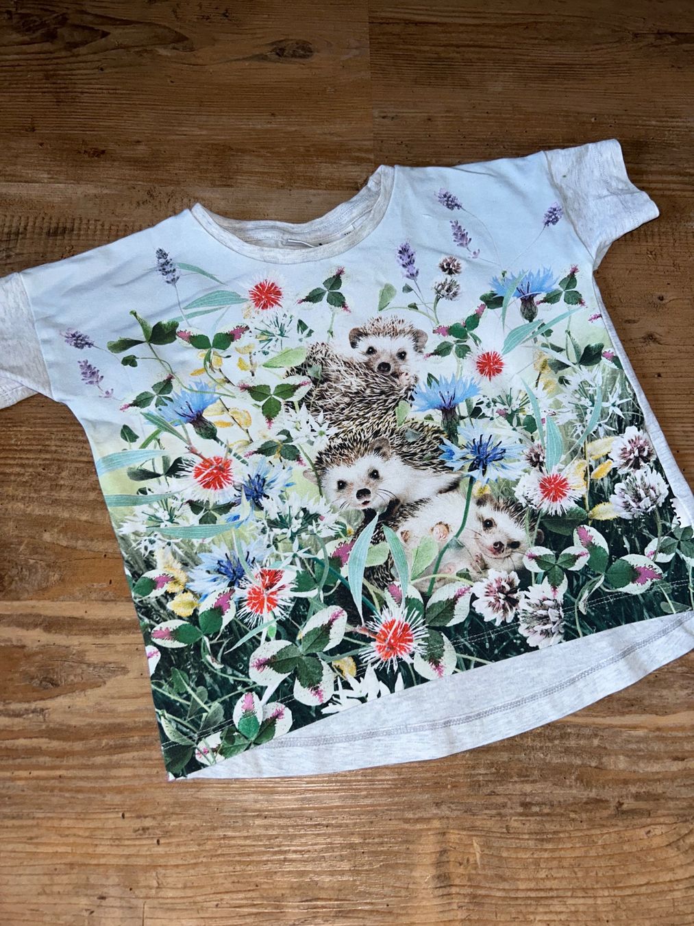 Molo Chemises, T-shirts & Polos: Shirt Molo mit Igel 104/110 – D'occasion à Safenwil par 2hand_aber_wertvoll