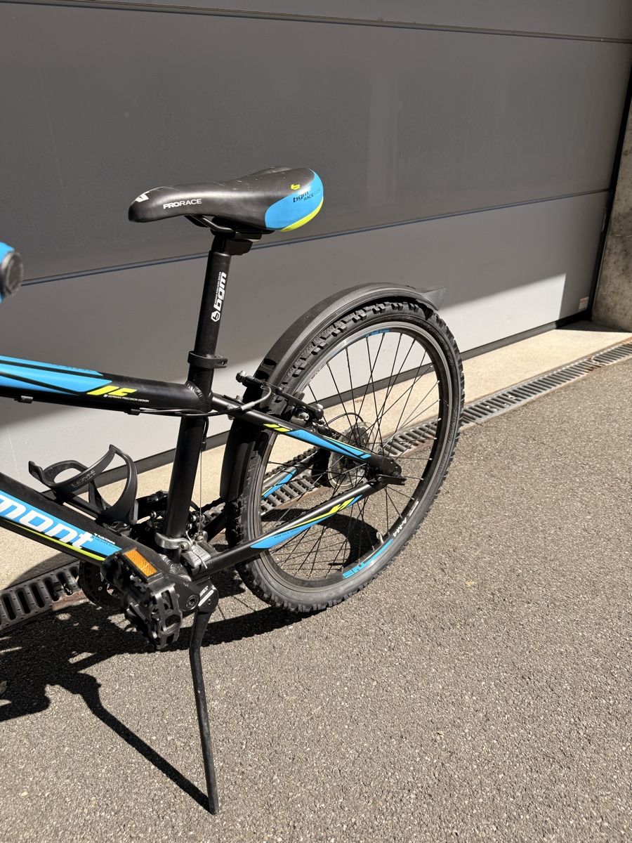 Bergamont Biciclette: Bergamont Mountain Bike – Usato da Erlenbach ZH venduto da Benio407 3
