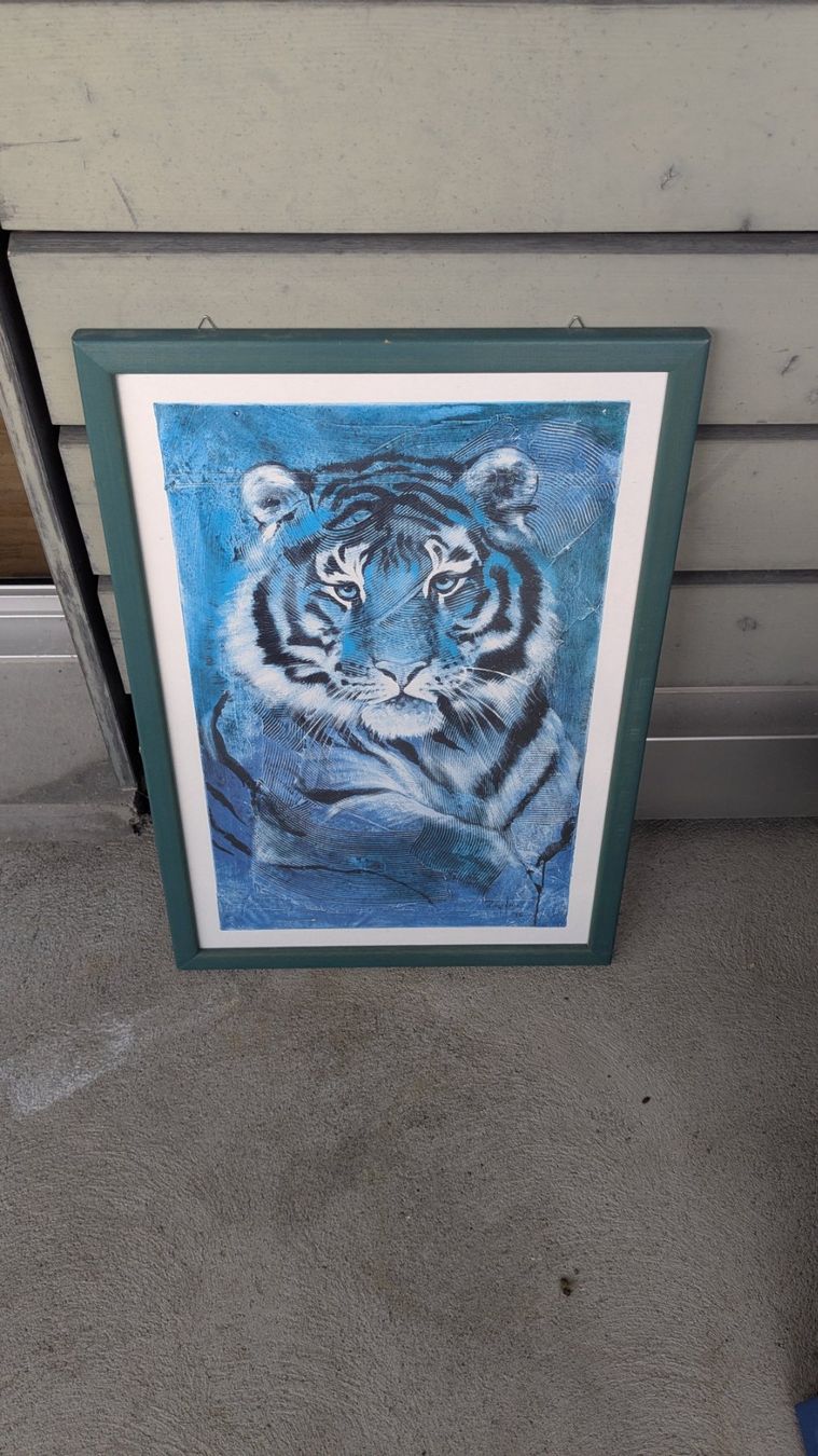Foto & Immagini: Rolf Knie "Tiger" – Usato da Aarau Rohr venduto da Zmille 1