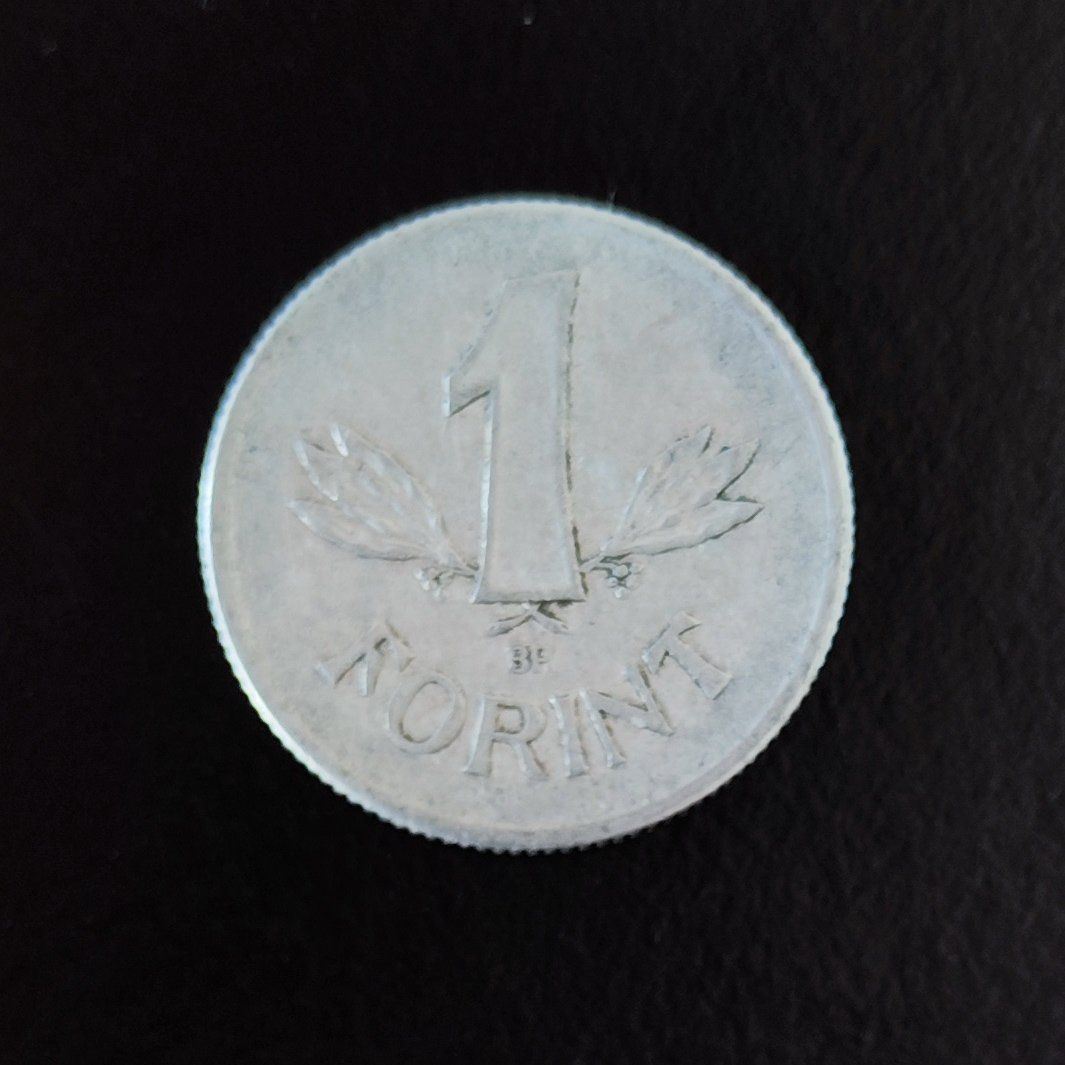 Tutti le monete: 1 Forint Münze Ungarn 1967 – Usato da Lenzburg venduto da Dani_Lenzburg