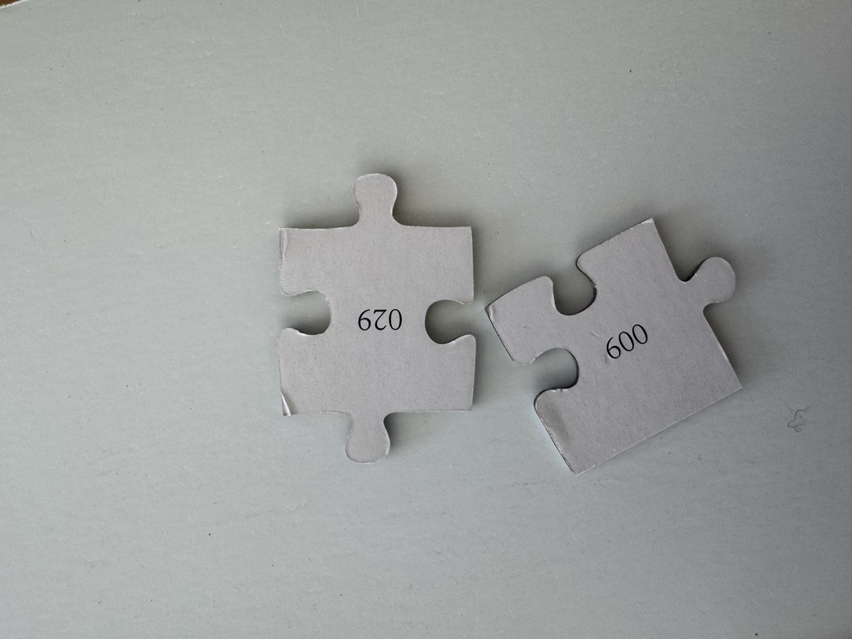 Puzzle: Puzzle colorato – Usato da Basel venduto da ser_qy29 1