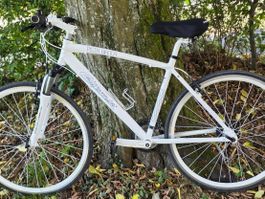 Fahrrad Pista Bianca California