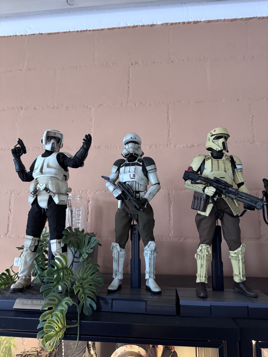 Hot Toys Statuette: Hot Toys Star Wars Trooper einzeln oder mehrere – Usato da Balterswil venduto da Maili91 1