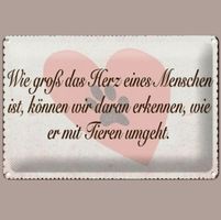 🔥 HERZ FÜR TIERE Blechschild 🩷 12x18cm OVP 🔥