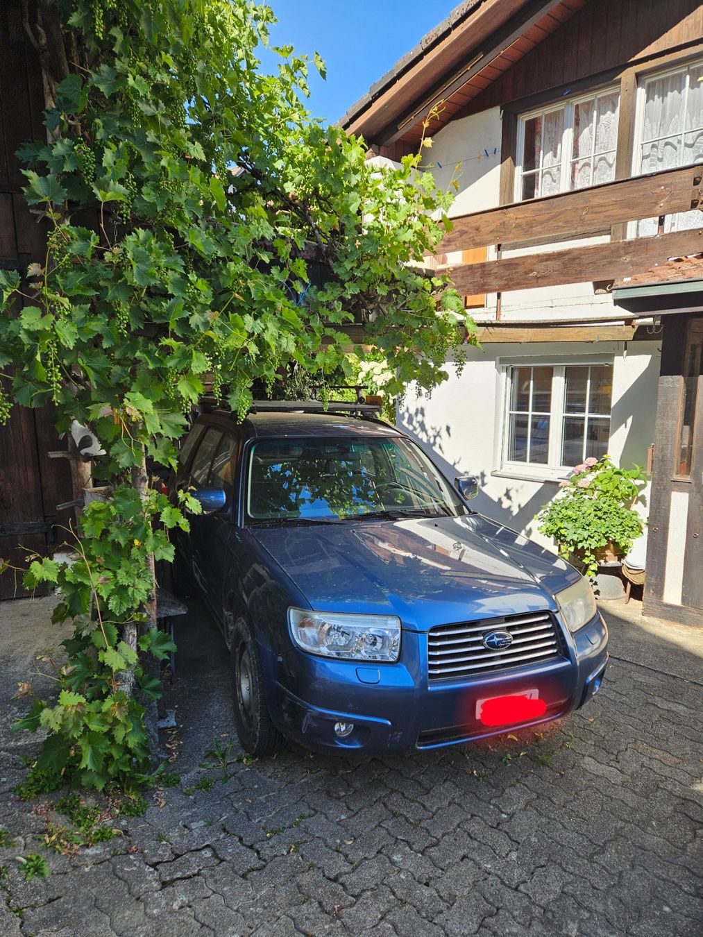 Subaru Automobili: Subaru Forester 2.0X AWD – Usato da Flurlingen venduto da pow_x8g6