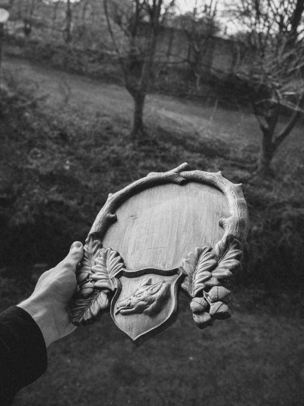 Articoli in legno: Geweihschild aus Holz – Nuovo e nell'imballaggio originale da Zürich venduto da Miki_Schreiner 8