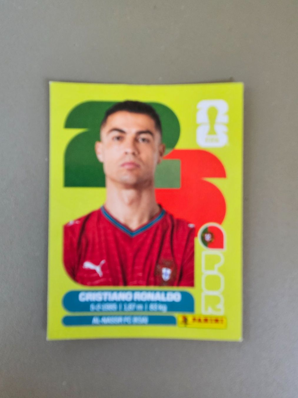 Panini Sammelbilder & Trading cards: Panini Bildli spezielle – Gebraucht aus Oberhof von oneill_surfer33 2