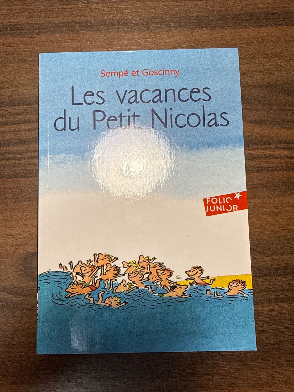 Libri: Les vacances du Petit Nicolas – Nuovo (secondo la descrizione) da Châtelaine venduto da jas_9wnr