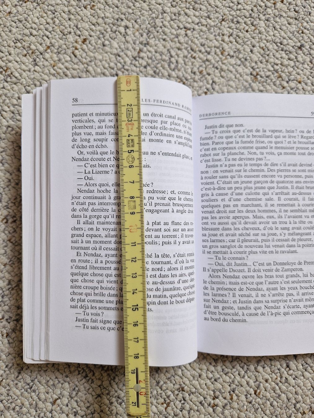 Bücher: Derborence - Charles-Ferdinand Ramuz – Gebraucht aus Hettlingen von mat_8pg6 3