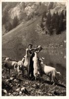 Alp-Idyll. Senn mit Ziegen