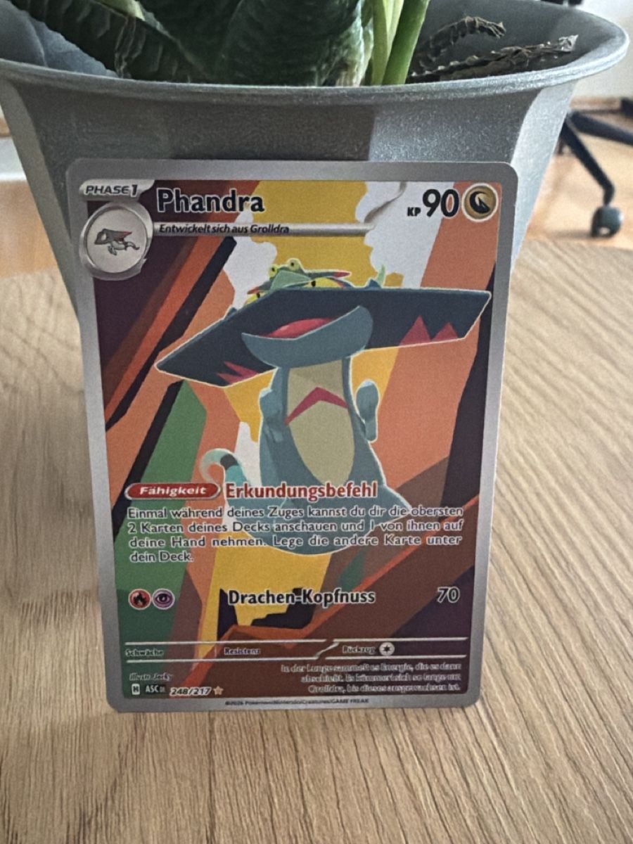 Pokémon Carte collezionabili: Pokemon Karte Phandra – Nuovo (secondo la descrizione) da Widnau venduto da joe_s5jr