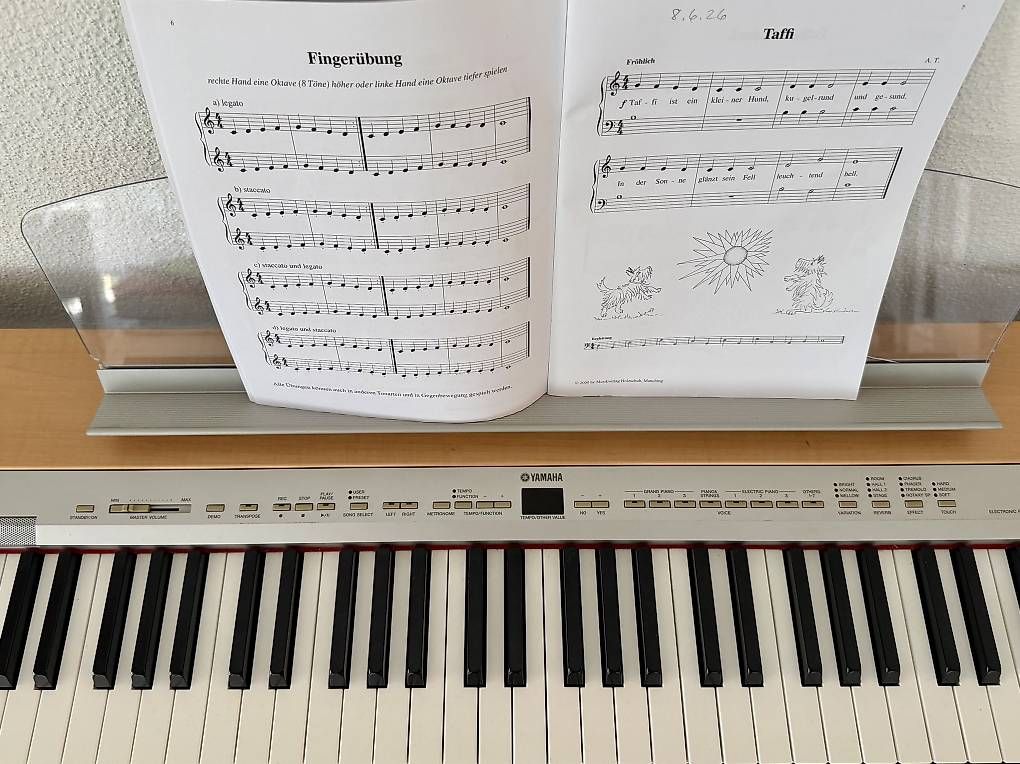 Strumenti musicali: Yamaha P-140S Digitalpiano – Usato da Muri AG venduto da cag733 3