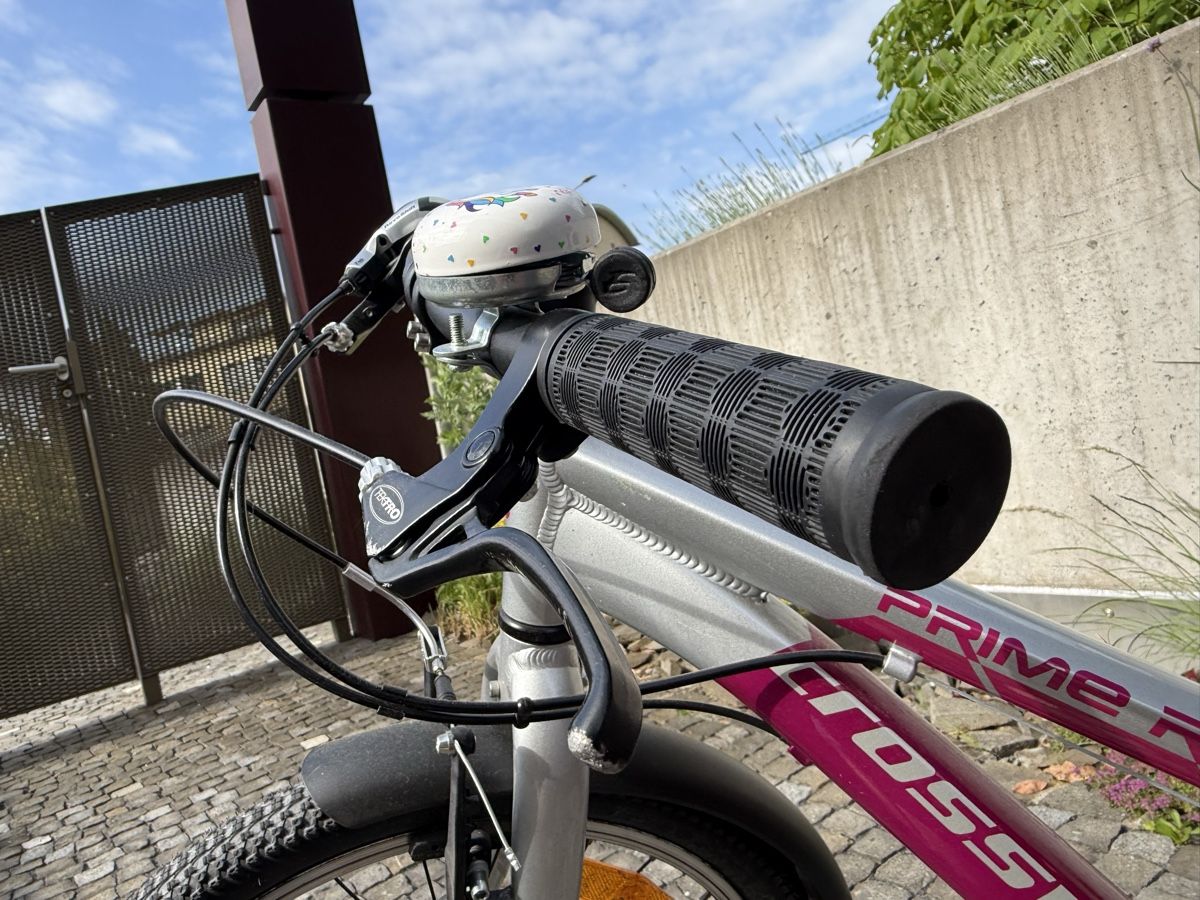 Crosswave Biciclette: 20” Crosswave velo  – Usato da Meggen venduto da Petra-Arte 8