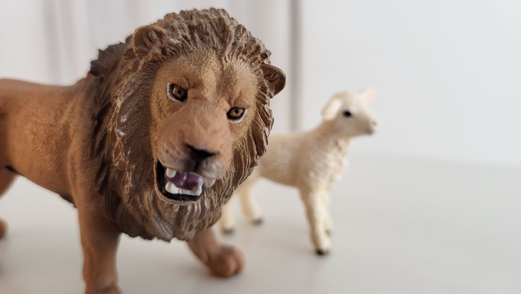Schleich Statuette: Schleich Figuren Löwe und Lamm Set – Usato da Zürich venduto da TurtleRain 1