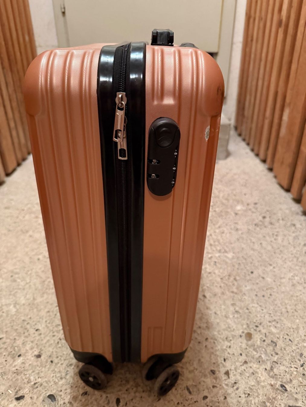 Valigie: Onboarding luggage – Usato da Thalwil venduto da zhe_69pd 2