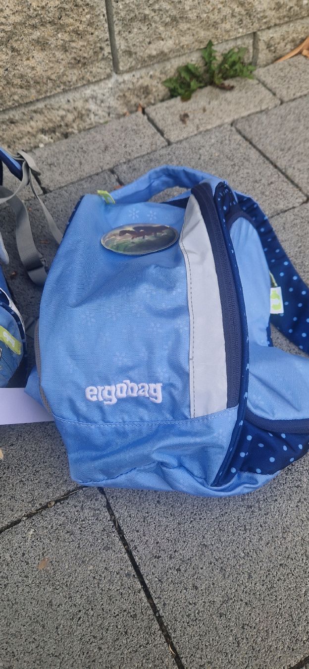 Ergobag Zaini: Schulrucksack Ergobag blau mit Pferdemotiv – Usato da Grosshöchstetten venduto da Joyaracer1985 3