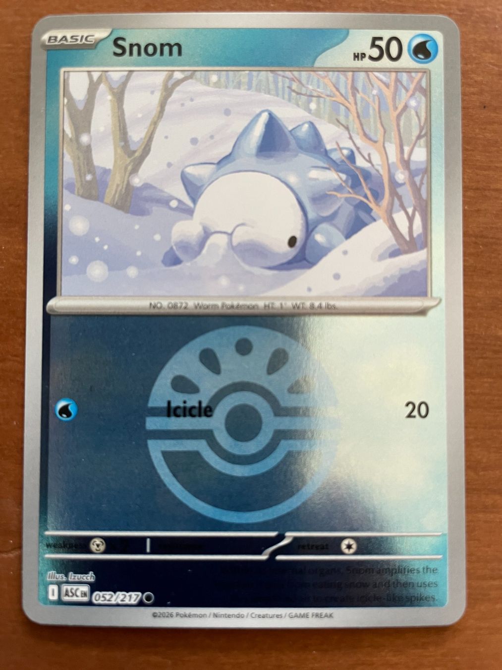 Pokémon Carte collezionabili: Pokemon Snom Reverse (Versand gratis) – Nuovo (secondo la descrizione) da Chur venduto da Angerson