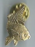 Fisch, Pin