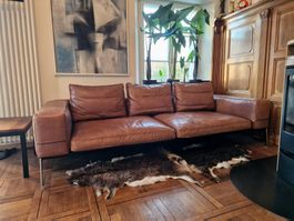 Flexform "LIFESTEEL" Ledersofa