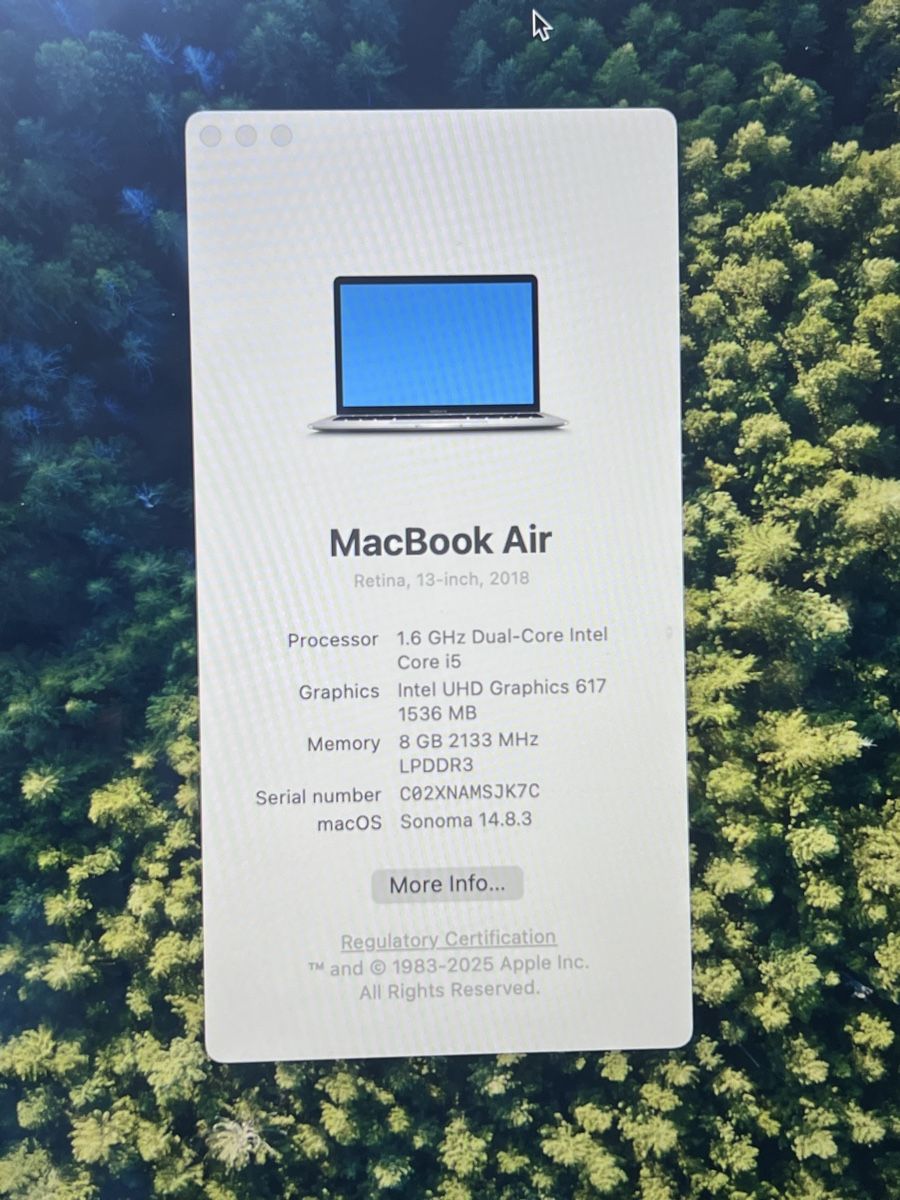 Apple Notebook: MacBook Air 13 8 GB RAM – Usato da Wädenswil venduto da dai_2bcv 1