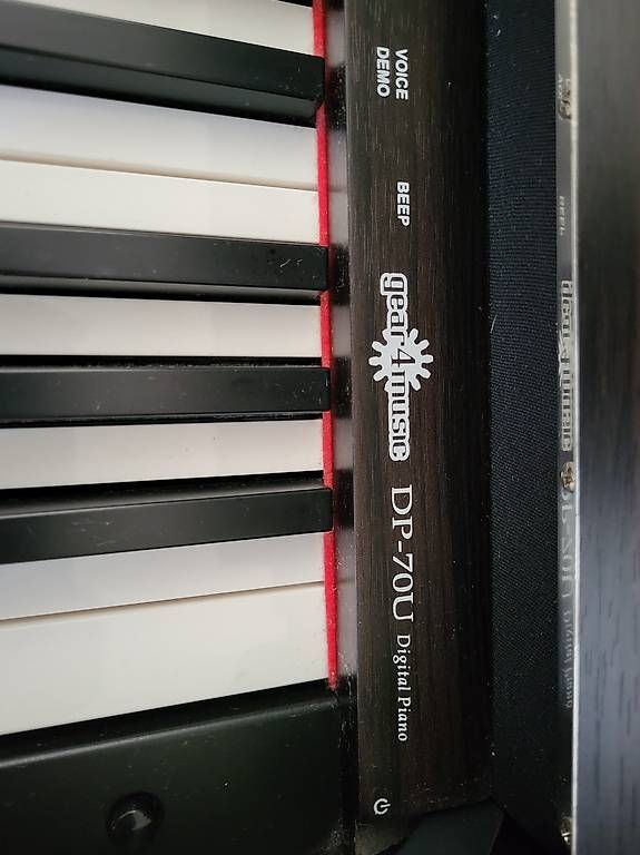 Strumenti musicali: Digital Piano – Usato da Langrickenbach venduto da Chevy012 2