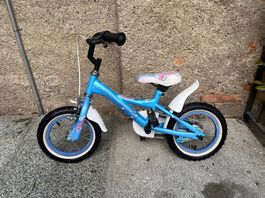 Bici bambini Leopard Flipper azzurra  usata ma funzionante 