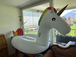 Einhorn Unicorn