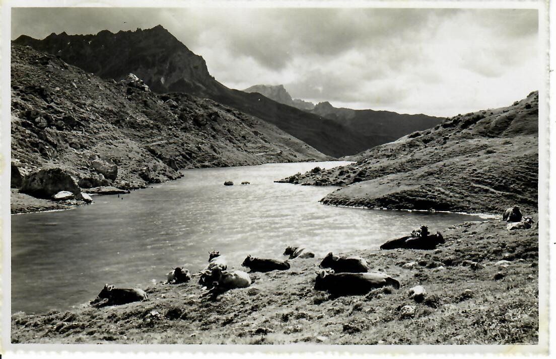 Ansichtskarten: St. Antönien 1948 – Gebraucht aus Hochdorf von Ziegel-16