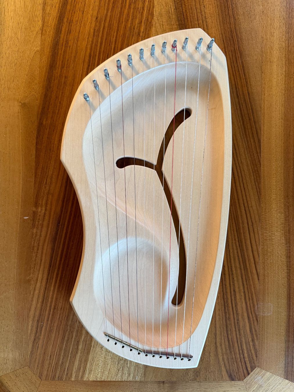 Strumenti musicali: Auris Leier 12 Seiten – Nuovo (secondo la descrizione) da Tägerwilen venduto da tobler08