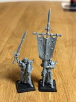 Figuren 2er set Swordmasters of Hoeht 