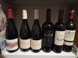 Lot de 28 bouteilles de vins
