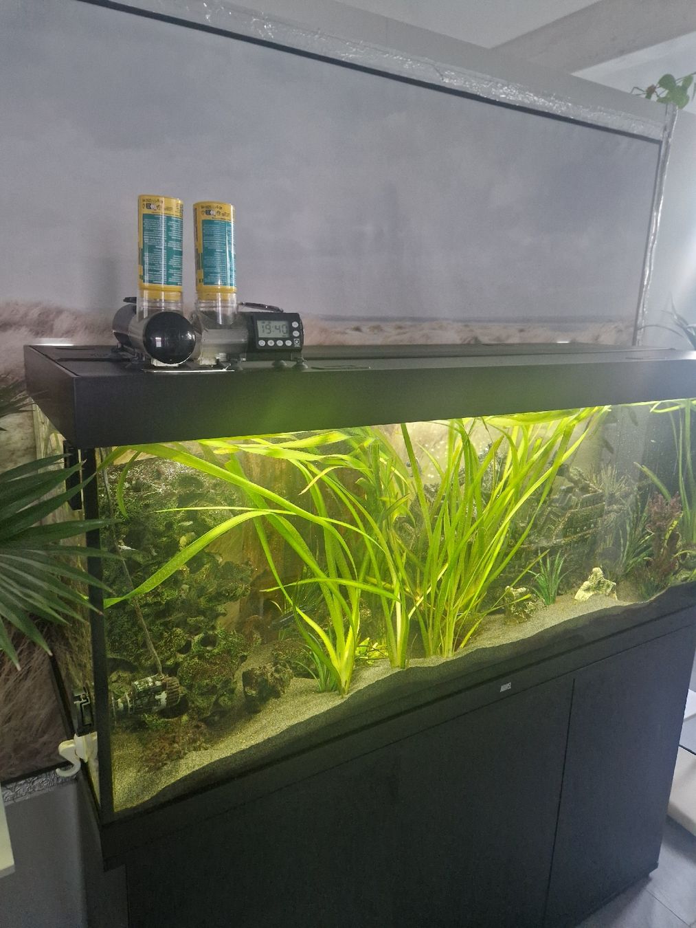 Juwel Aquarium: Juwel Rio 450 Koplett Set – Gebraucht aus Etzgen von kor_mq6d 2