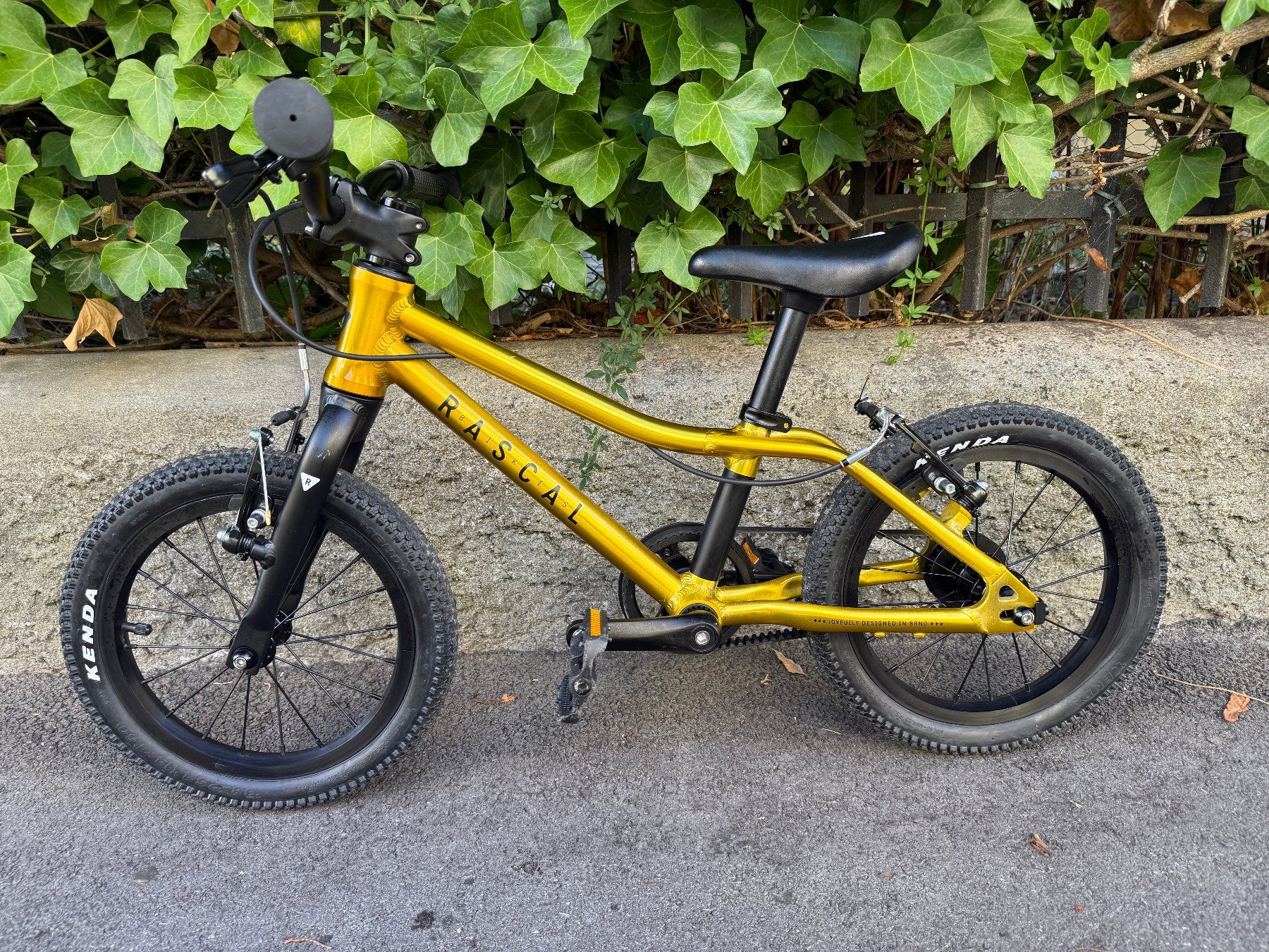 Velos: Rascal 14 Zoll Kinderfahrrad – Gebraucht aus Bern von patso 1