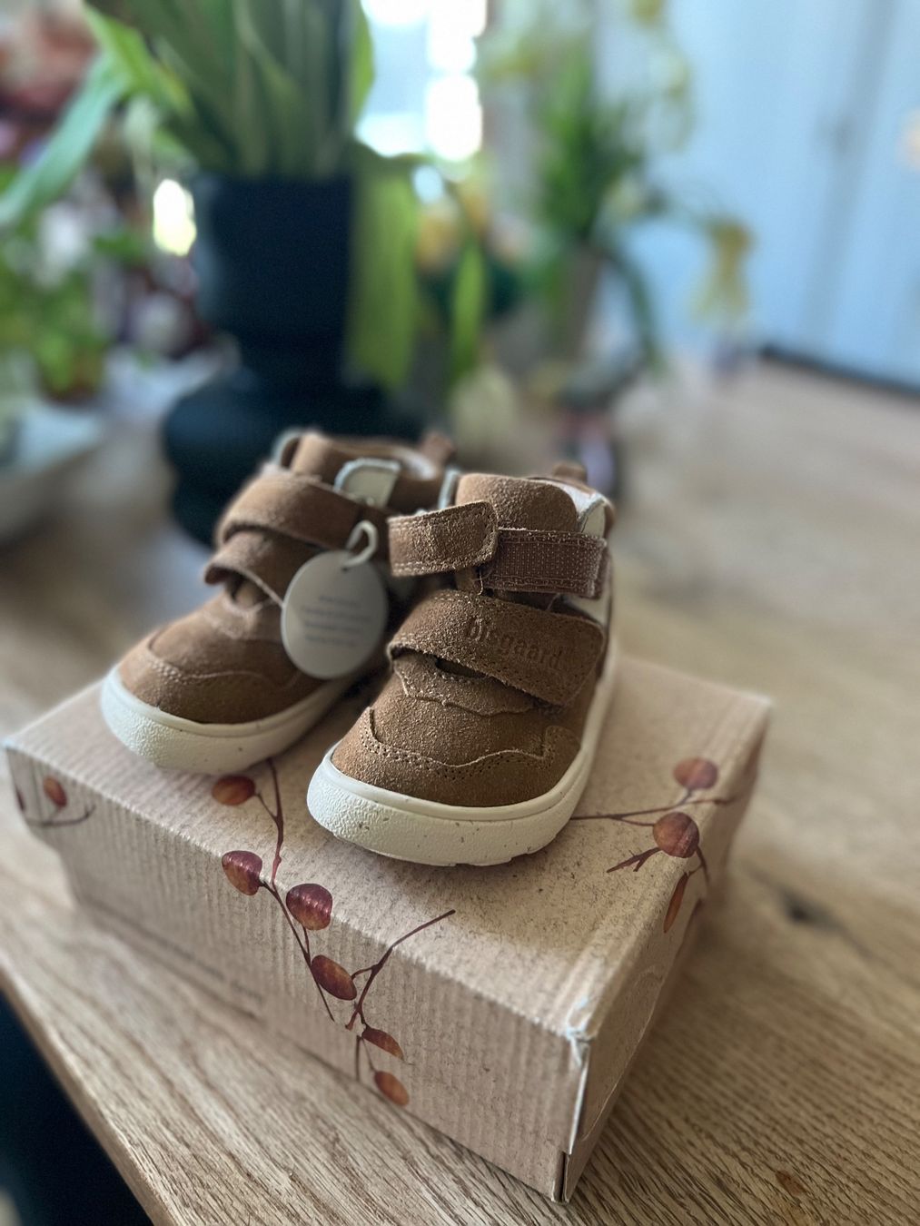 Bisgaard Scarpe per ragazzi: Neu! Bisgaard Barefoot Laufschuhe – Nuovo e nell'imballaggio originale da Meikirch venduto da sve_6cbb 1