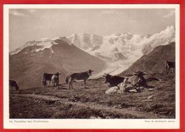 FOTO M. BURKHARDT: IM PARADIES BEI PONTRESINA, GROSSFORMAT