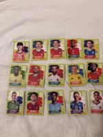 Panini Fussball Sticker WM 2026