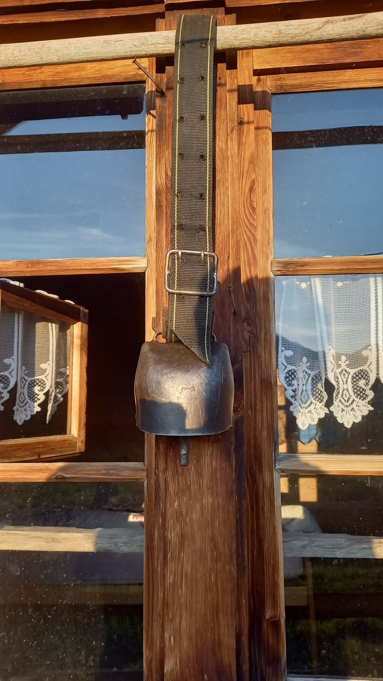 Chamonix Campanacci mucche: Weidetreichel Chamonix – Usato da Achseten venduto da sma_659k