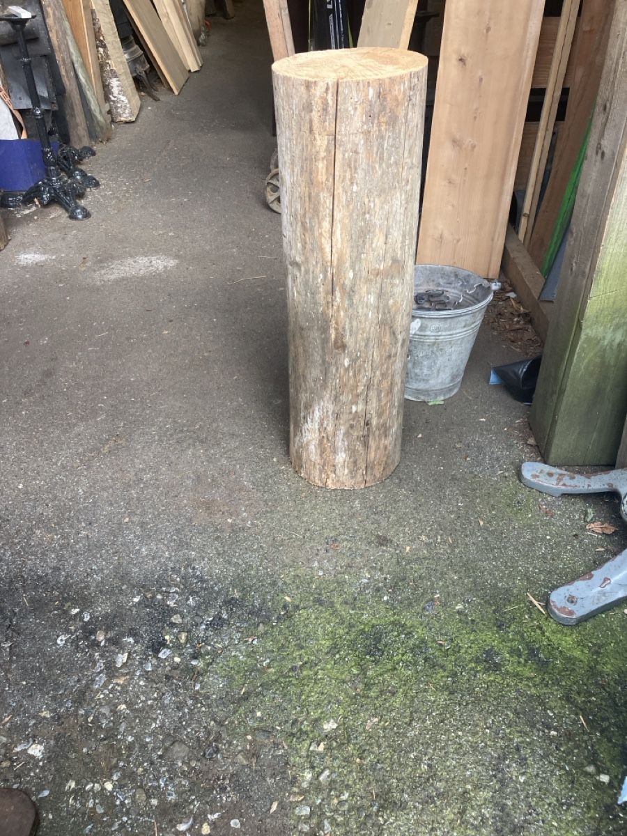 Articoli in legno: Holzstamm tanne – Usato da Burg AG venduto da ala_cx8x