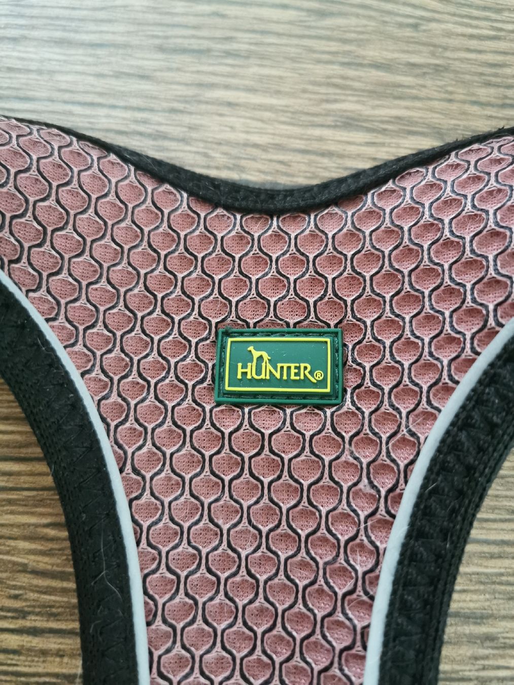 Hunter Abbigliamento: Hunter Norweger Geschirr Ruby, Grösse M-L, neu nie gebraucht – Nuovo (secondo la descrizione) da Gossau ZH venduto da GDE19 3