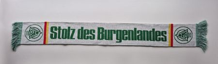 SV Mattersburg Fanschal