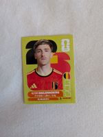 Panini Bild BEL 12