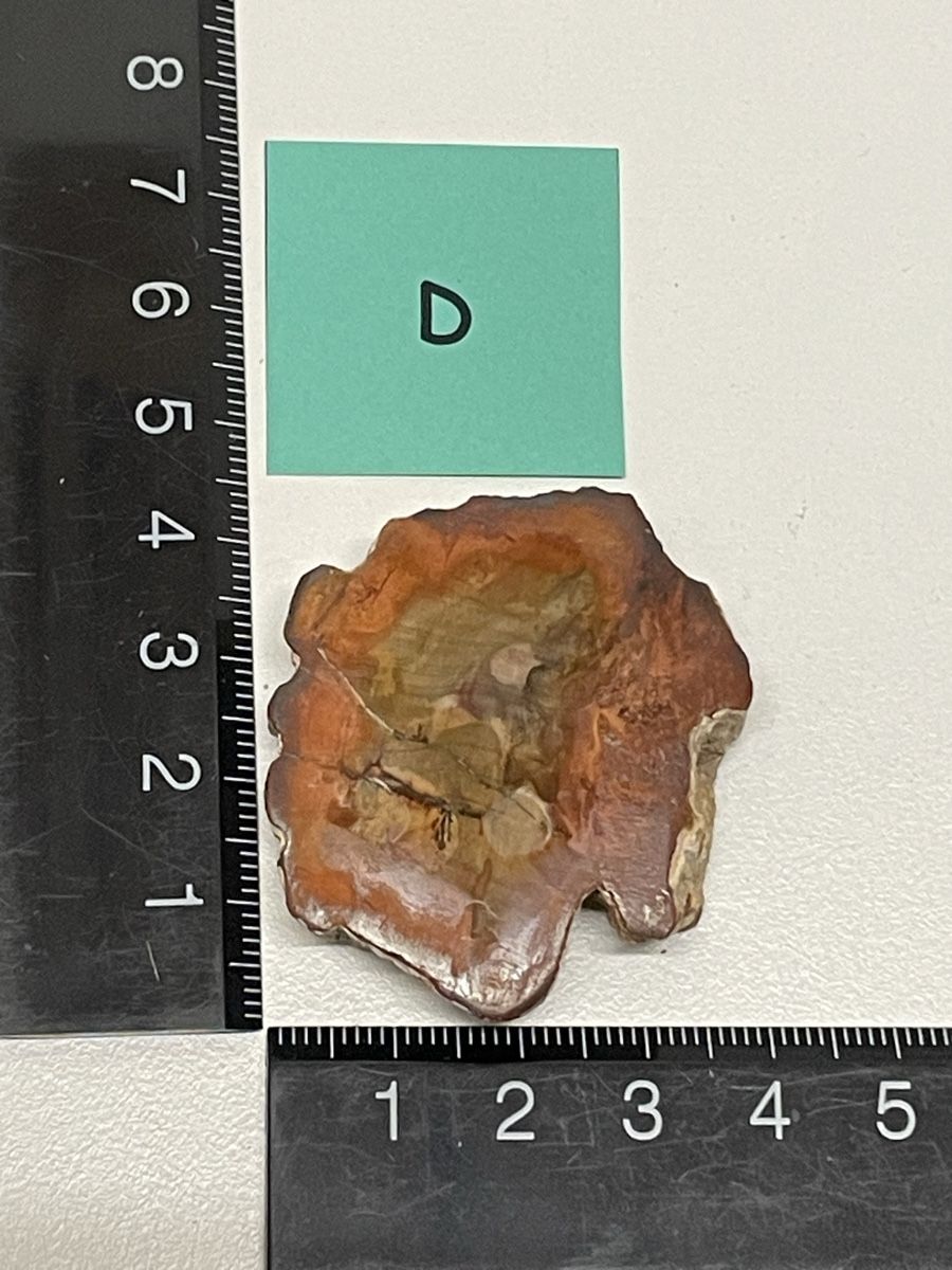 Minerali & Pietre curative: Heilstein / versteinertes Holz / Edelstein – Usato da Rümlang venduto da euqinom16