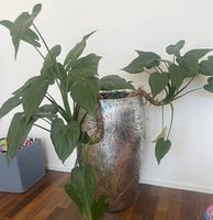 XL Designer-Übertopf Silber  70 cm hoch
