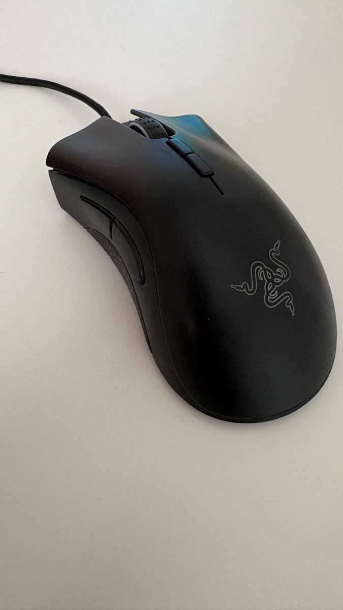 Razer Mouse: Razer Mouse - USB C – Nuovo (secondo la descrizione) da Wengen venduto da Kienzler240509