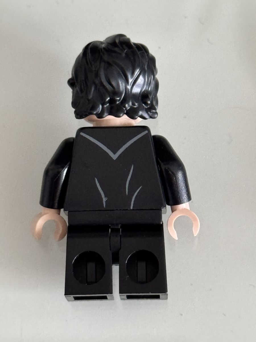 Lego Statuette: Lego Figur Harry Potter – Nuovo (secondo la descrizione) da Windisch venduto da _pascal_st_ 1